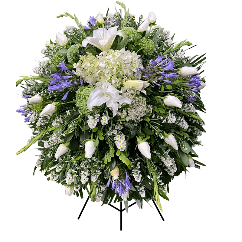 Lagrima Blanca con Iris